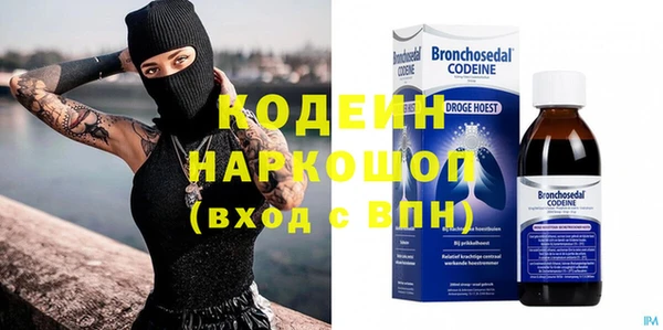 индика Нягань